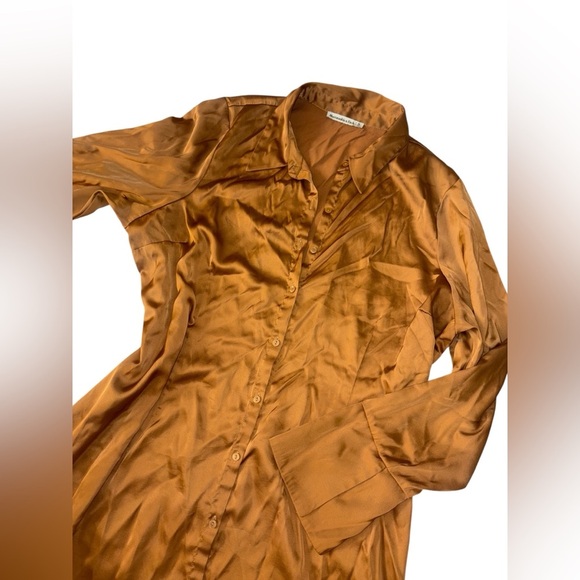 Abercrombie & Fitch Copper Satin Blouse - Picture 5 of 5
